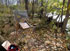 link to photo of easel in late november