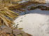 link to Footprints across the Pond
