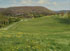 link to Mount Nittany and April Dandelions